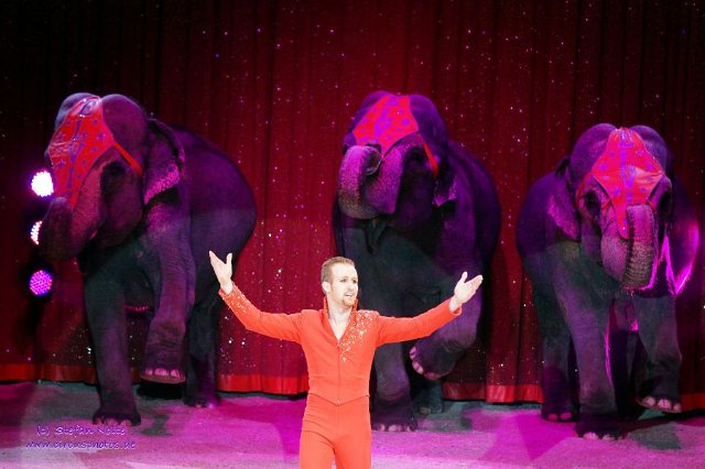 0084Heilbronner Weihnachtscircus2012(c)Stefan Nolte-www.circusphotos.de resized resized